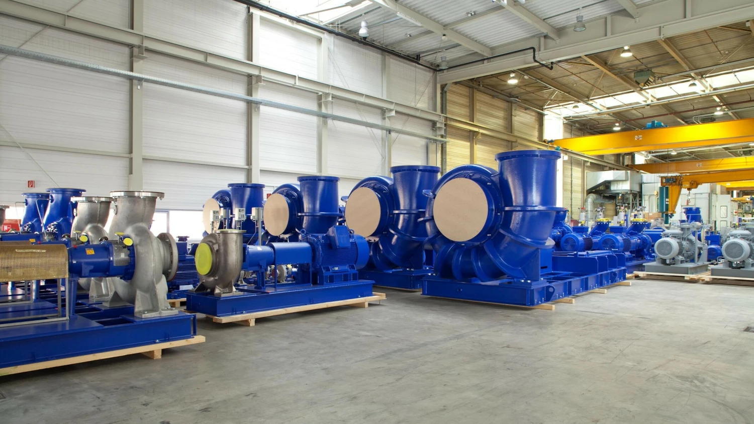 Pumps Sales -Pumps Sales 3